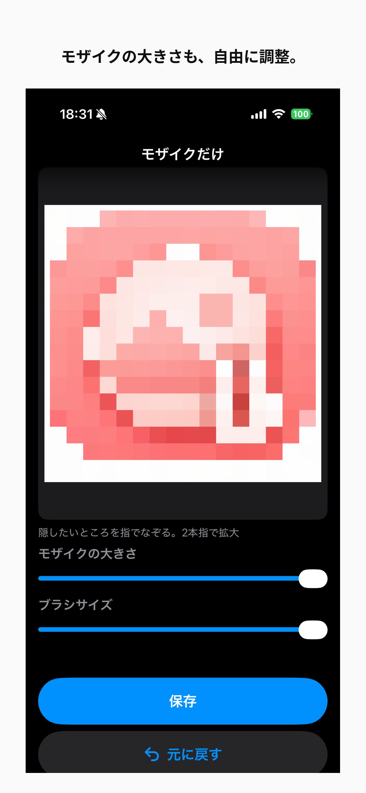 モザイクの大きさを大きくした画面
