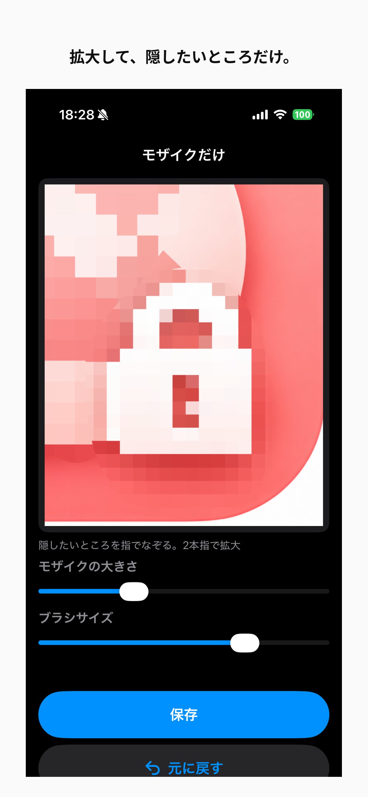 拡大して隠したい部分だけにモザイクをかけた画面